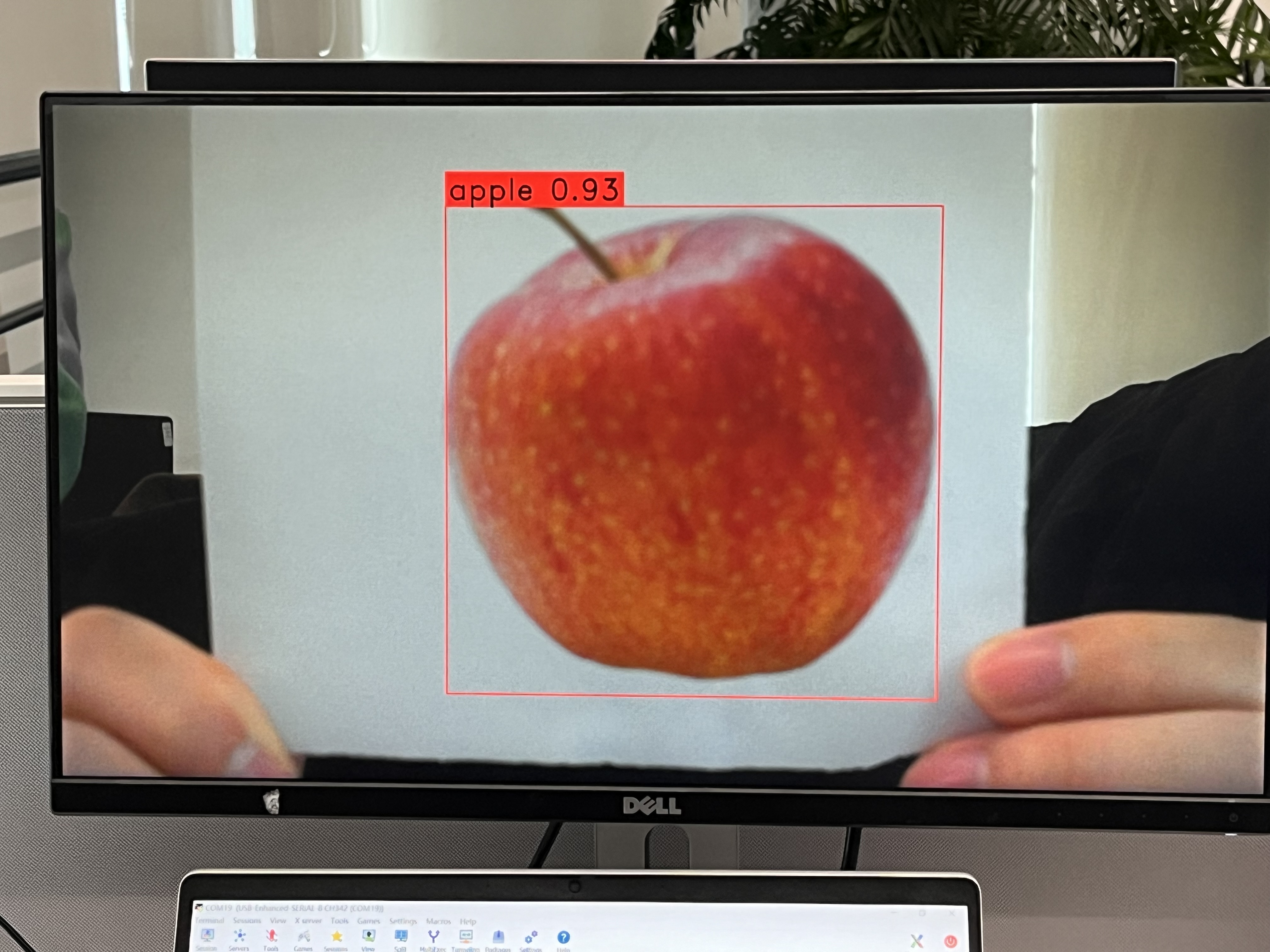 Video Stream Object Detection Illustration