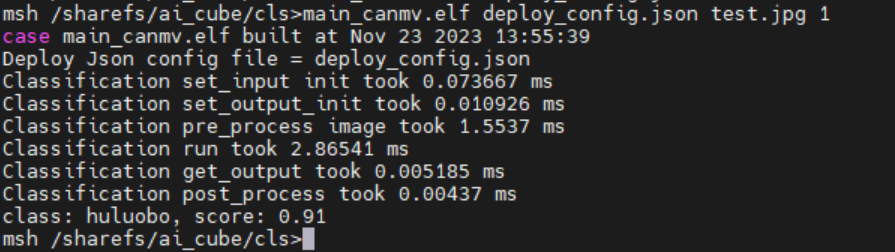 Static Image Inference Result