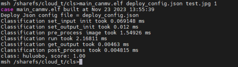 Static Image Inference Result