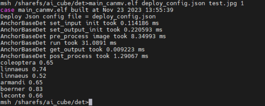 Static Image Inference Result