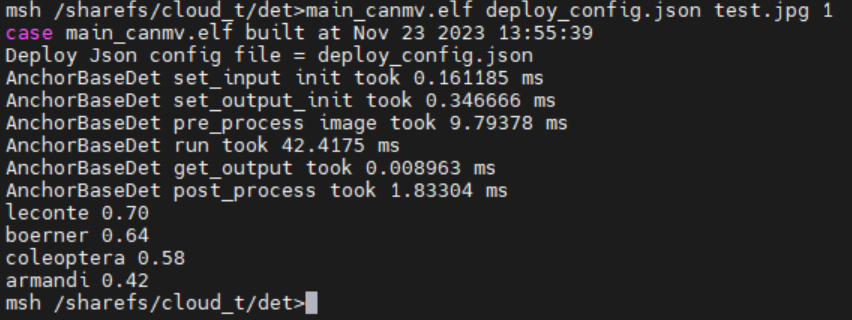 Static Image Inference Result