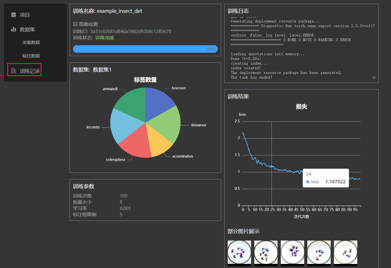 Detection Task Training Details