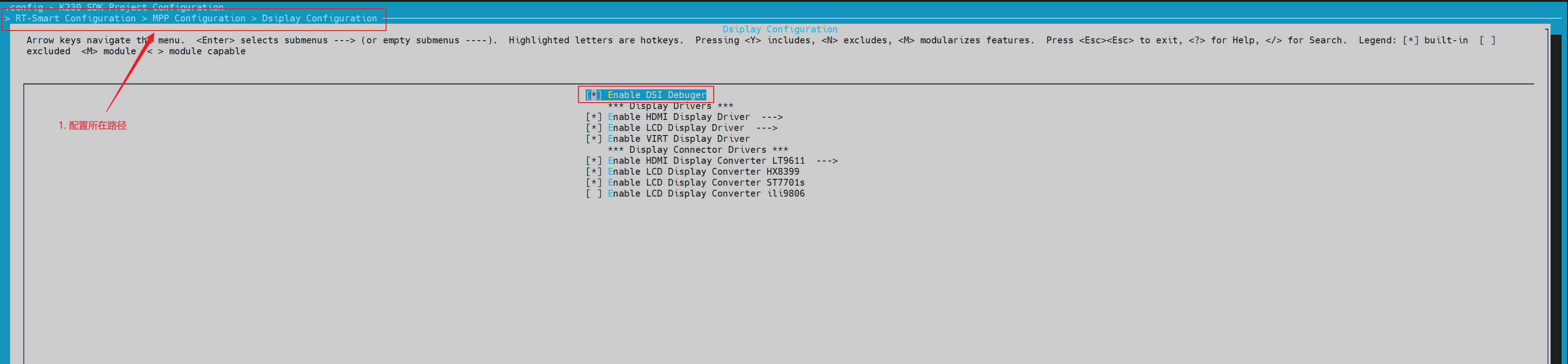 Enable DSI Debugger