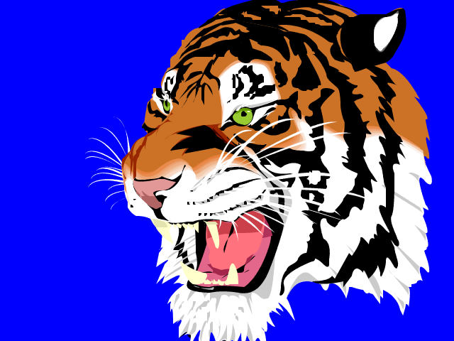 Tiger Image